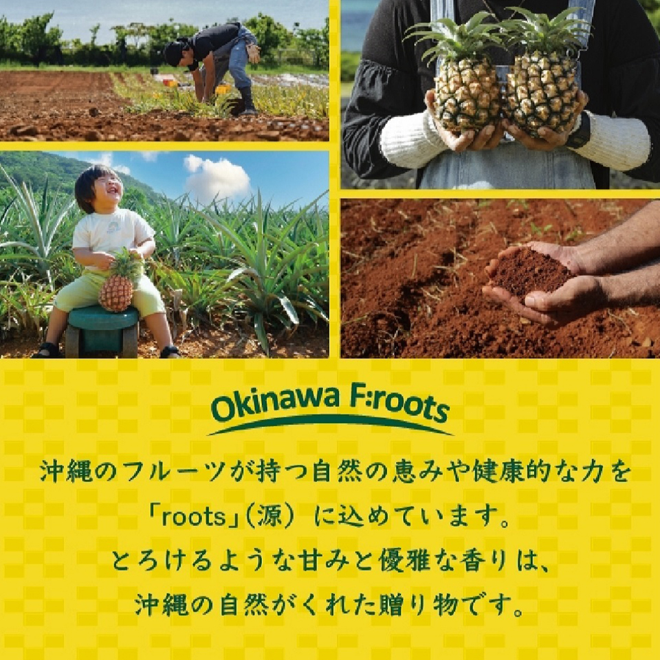 沖縄 石垣島産 贅熟パイナップルジュース 200ml 10本入り | 飛鳥